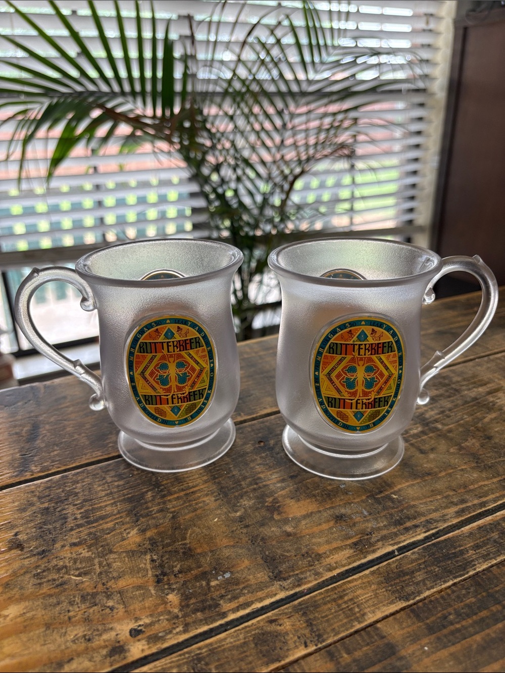 Harry Potter Butterbeer Plastic Mugs - Set of 2